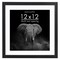 Americanflat Gallery-Style Picture Frame with Mat - Showcase Artwork, Prints, and Photos - Shatter Resistant Glass - Hanging Hardware with Drywall Anchor
